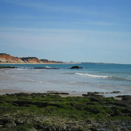 Lejlighed Ocean Terrace